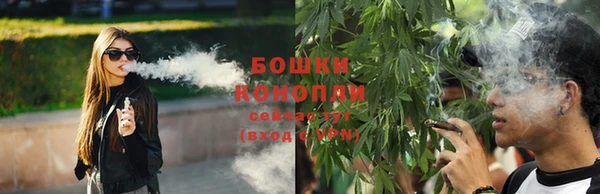 гидропоника Армянск